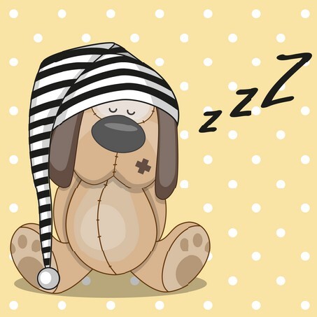 Sleeping dog in a cap